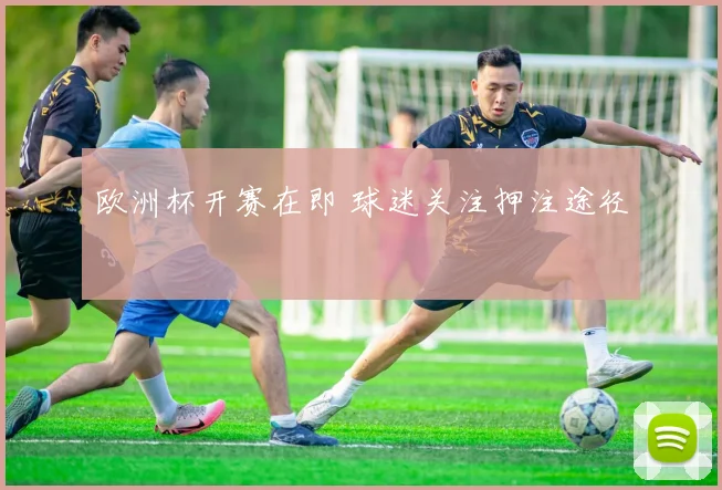 欧洲杯开赛在即 球迷关注押注途径